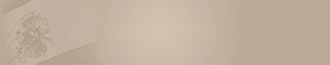 Öffentlich bestellte und beeidigte Übersetzerin der spanischen Sprache